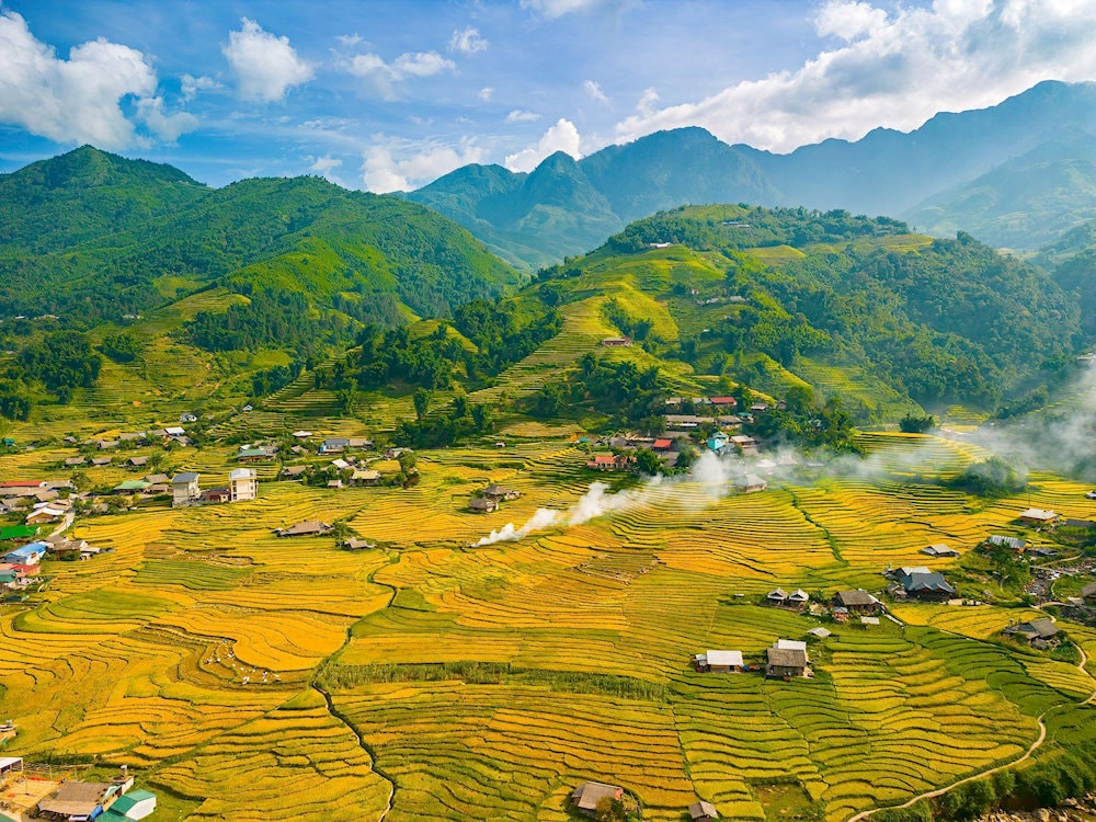 The Golden rice terraces during harvest season in Muong Hoa Valley, showcasing centuries-old agricultural traditions